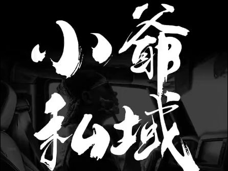 小爷·私域项目操盘手-网赚项目平台