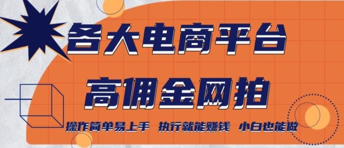 各大电商平台高佣金网拍，操作简单易上手，执行就能赚钱，小白也能做-网赚项目平台