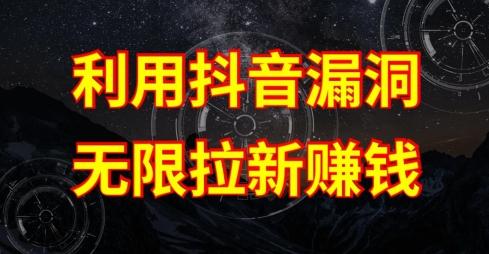 利用抖音链接漏洞，无限拉新赚钱【漏洞原理+操作流程】【揭秘】-网赚项目平台
