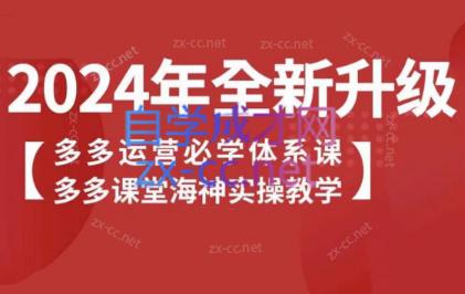 海神老师·拼多多运营必学体系课-网赚项目平台