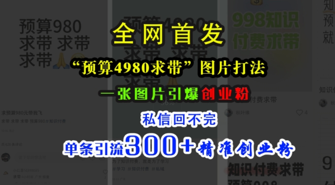 小红书“预算4980带我飞”图片打法，一张图片引爆创业粉，私信回不完，单条引流300+精准创业粉-网赚项目平台