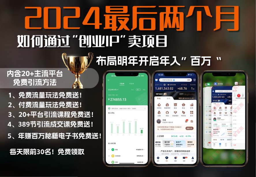 2024最后两个月如何通过”创业IP“卖项目年入”百万“,创业IP+最强引流…-网赚项目平台