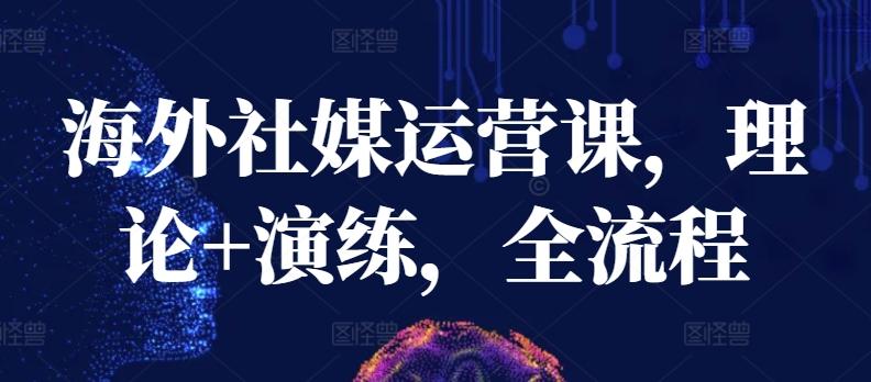 海外社媒运营课，理论+演练，全流程-网赚项目平台