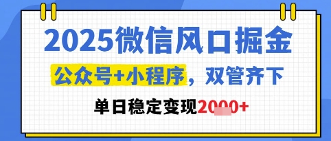 2025微信风口掘金，公众号+小程序双管齐下，单日稳定变现1k+【揭秘】-网赚项目平台