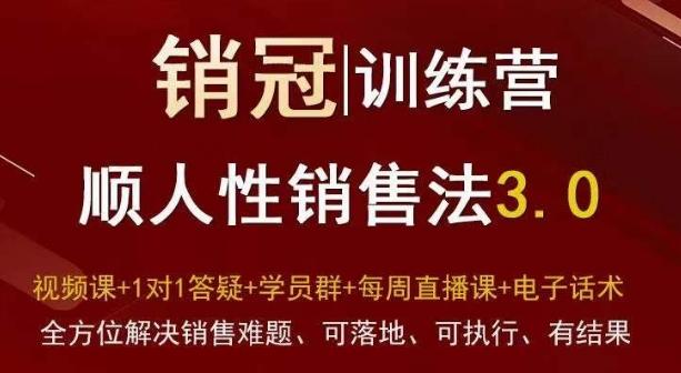 爆款！销冠训练营3.0之顺人性销售法，全方位解决销售难题、可落地、可执行、有结果-网赚项目平台