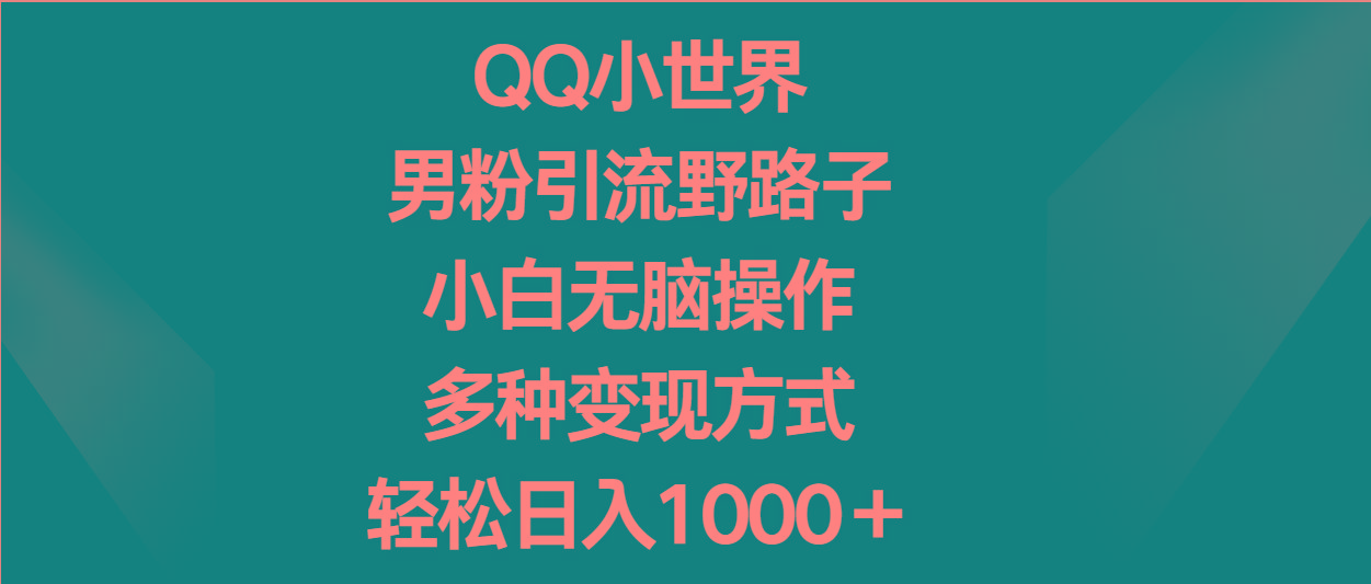 QQ小世界男粉引流野路子，小白无脑操作，多种变现方式轻松日入1000＋-网赚项目平台