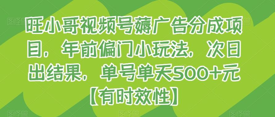 旺小哥视频号薅广告分成项目，年前偏门小玩法，次日出结果，单号单天500+元【有时效性】-网赚项目平台