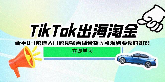 (10035期)TikTok-出海淘金，新手0-1快速入门短视频直播带货等引流到变现的知识-网赚项目平台