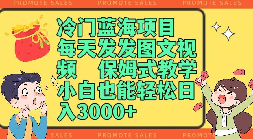 冷门蓝海项目，每天发发图文视频，保姆式教学，小白也能轻松日入3000+-网赚项目平台