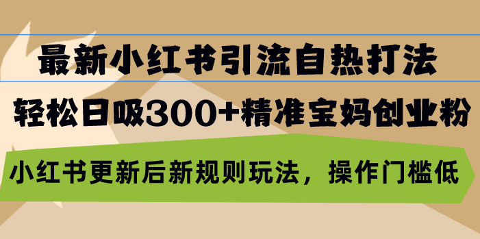 最新小红书引流自热打法，轻松日吸300+精准宝妈创业粉，小红书更新后新…-网赚项目平台