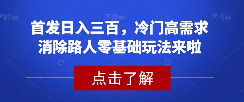 首发日入三百，冷门高需求消除路人零基础玩法来啦【揭秘】-网赚项目平台