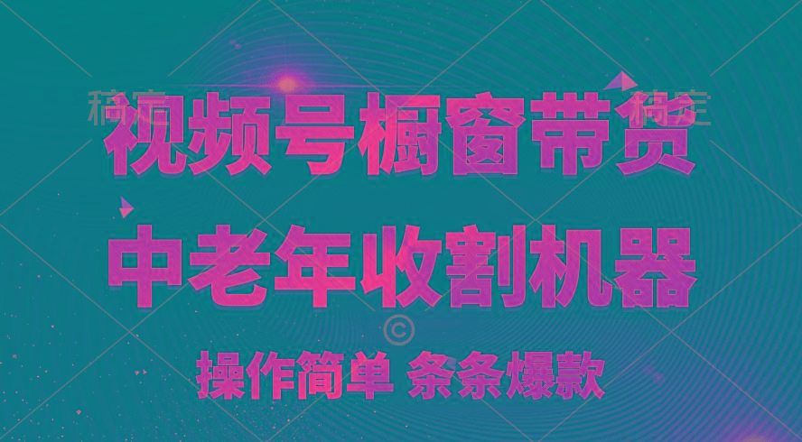 [你的孩子成功取得高位]视频号最火爆赛道，橱窗带货，流量分成计划，条…-网赚项目平台