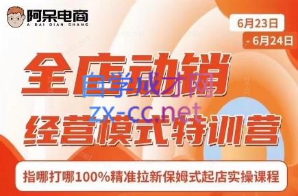 阿呆电商·全店动销经营模式特训营(线下录音+思维导图)-网赚项目平台