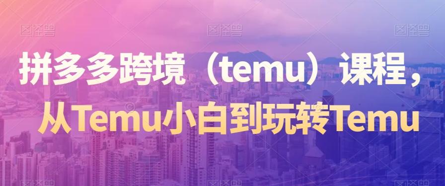 拼多多跨境（temu）课程，从Temu小白到玩转Temu-网赚项目平台