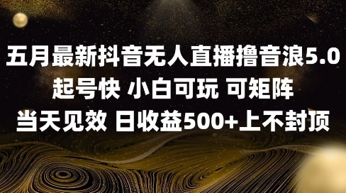 2025五月最新无人直播撸音浪单日产出5张+实操教程【揭秘】-网赚项目平台
