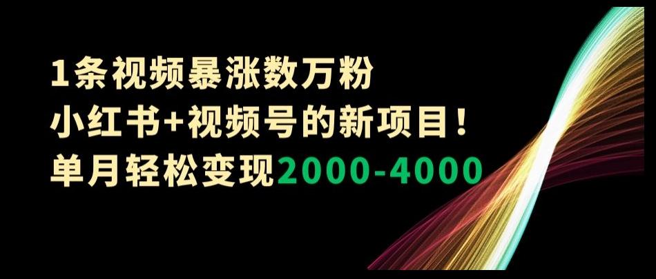 1条视频暴涨数万粉–小红书+视频号的新项目！单月轻松变现2000-4000【揭秘】-网赚项目平台