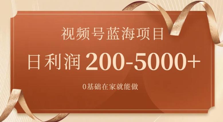外边收费699视频号项目，最新玩法，简单好操作，一人可做，日四位数-网赚项目平台