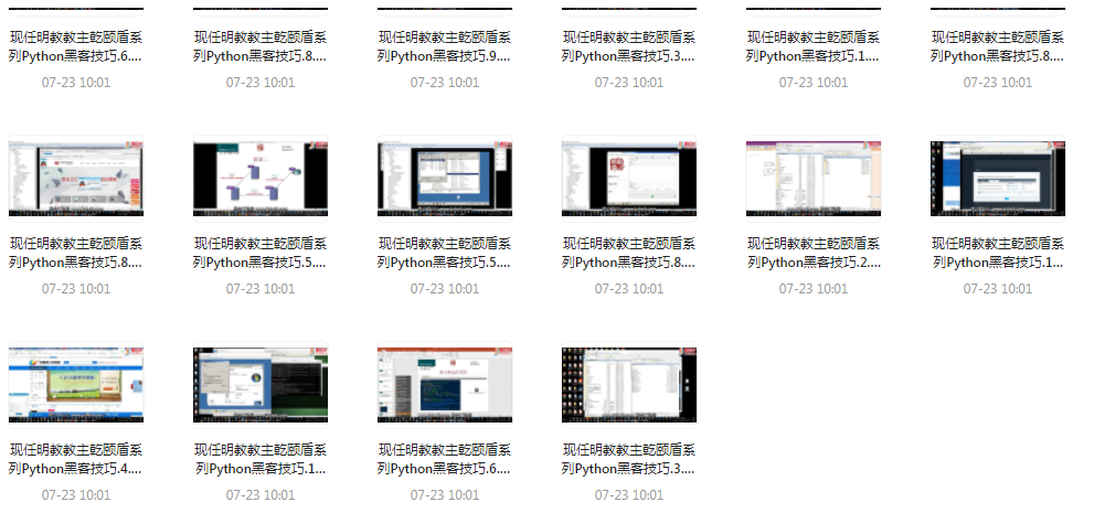 Python黑客技巧课程-网赚项目平台