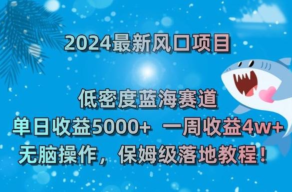 2024最新风口项目，低密度蓝海赛道，单日收益5000+，一周收益4w+！【揭秘】-网赚项目平台