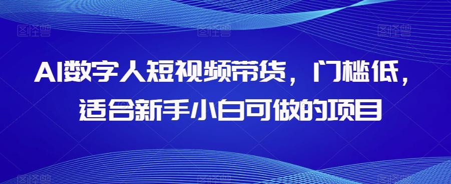 AI数字人短视频带货，门槛低，适合新手小白可做的项目-网赚项目平台