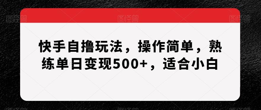 快手自撸玩法，操作简单，熟练单日变现500+，适合小白【揭秘】-网赚项目平台