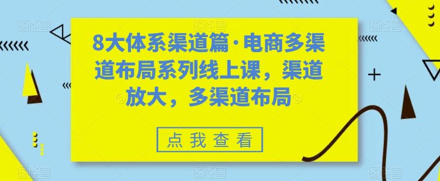 8大体系渠道篇·电商多渠道布局系列线上课，渠道放大，多渠道布局-网赚项目平台