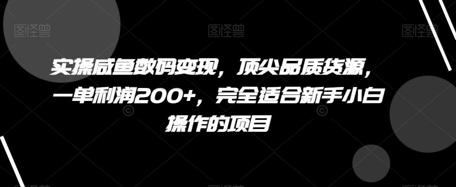 实操咸鱼数码变现，顶尖品质货源，一单利润200+，完全适合新手小白操作的项目【揭秘】-网赚项目平台