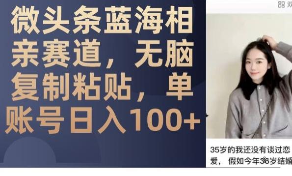 微头条蓝海相亲赛道，无脑复制粘贴，单账号日入100+-网赚项目平台