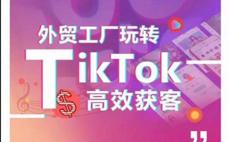 外贸工厂玩转TikTok高效获客，多种引流方式与账号定位技巧，拆解爆款短视频打造成功案例-网赚项目平台