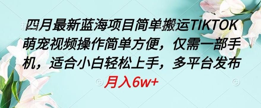 四月最新蓝海项目，简单搬运TIKTOK萌宠视频，操作简单方便，仅需一部手机【揭秘】-网赚项目平台