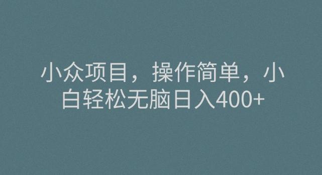 小众项目，操作简单，小白轻松无脑日入400+-网赚项目平台