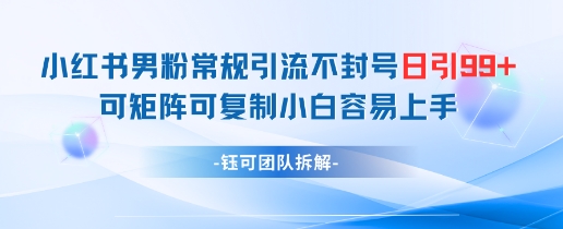 小红书男粉常规引流不封号日引99+变现简单 可矩阵可复制小白容易上手-网赚项目平台