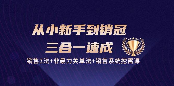 从小新手到销冠 三合一速成：销售3法+非暴力关单法+销售系统挖需课 (27节-网赚项目平台
