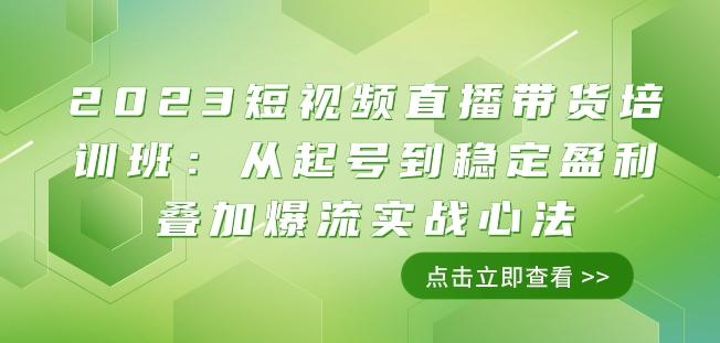 2023短视频直播带货培训班：从起号到稳定盈利叠加爆流实战心法（11节课）-网赚项目平台