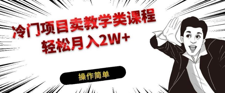 冷门项目卖教学类课程，轻松月入2W+-网赚项目平台