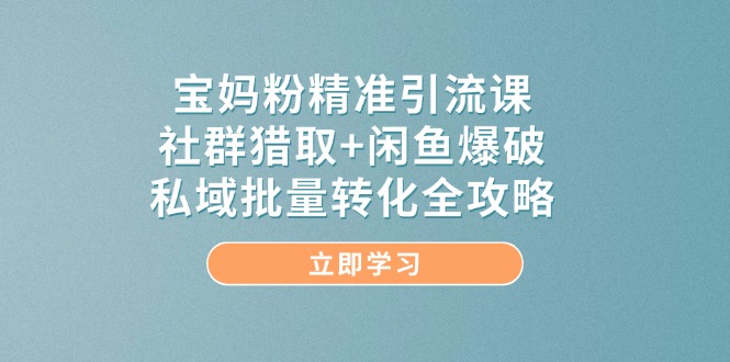 宝妈粉精准引流课，社群猎取+闲鱼爆破，私域批量转化全攻略-网赚项目平台
