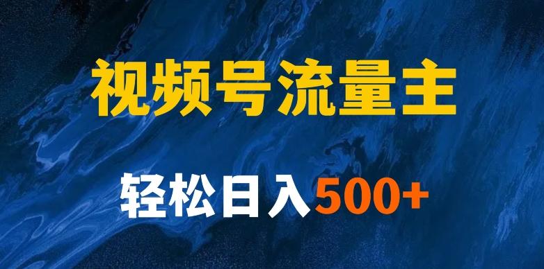 揭秘视频号创作者分成计划，带你玩赚视频号流量主！新手也能月入1w+-网赚项目平台