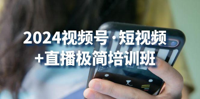 2024视频号·短视频+直播极简培训班：抓住视频号风口，流量红利-网赚项目平台
