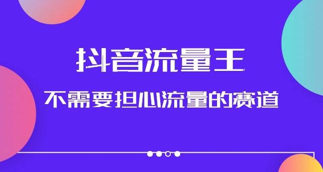 抖音流量王，不需要担心流量的赛道，美女图文音乐号升级玩法（附实操+养号流程）-网赚项目平台