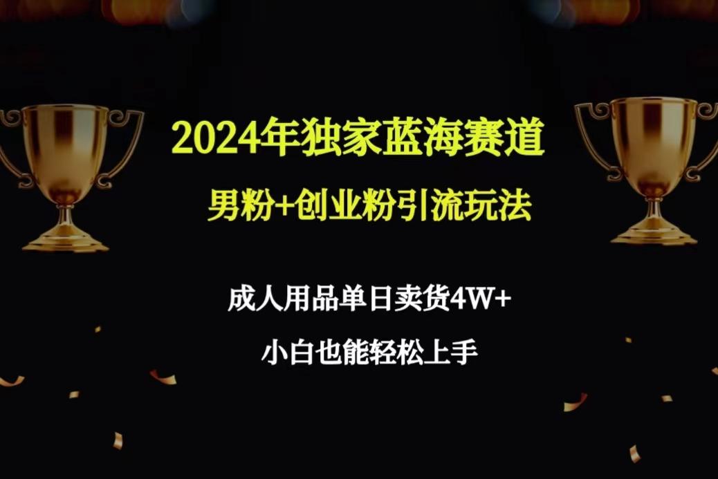 2024年独家蓝海赛道男粉+创业粉引流玩法，成人用品单日卖货4W+保姆教程-网赚项目平台