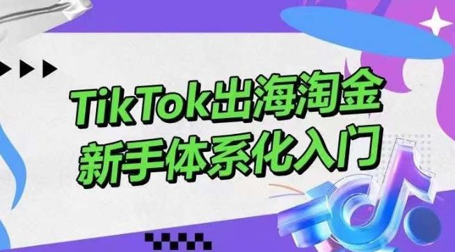 TikTok出海淘金，新手体系化入门，零基础快速入门，掌握短视频、直播带货等引流到变现的知识-网赚项目平台