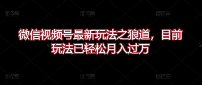 微信视频号最新玩法之狼道，目前玩法已轻松月入过万【揭秘】-网赚项目平台