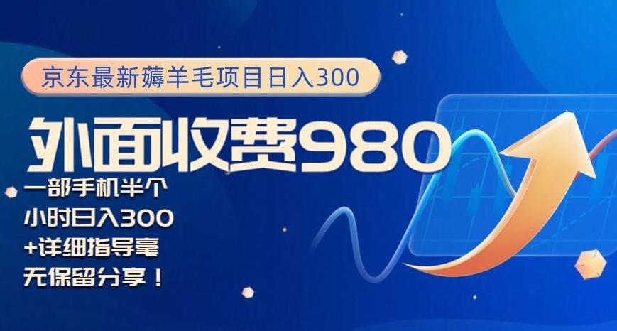 京东最新薅羊毛项目小白怎么做到日入300+一部手机半小时搞定-网赚项目平台