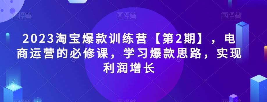 2023淘宝爆款训练营【第2期】，电商运营的必修课，学习爆款思路，实现利润增长-网赚项目平台