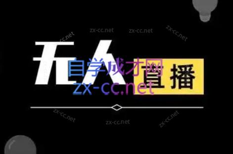 宝子哥·无人直播-非实时防风技术(更新8月)-网赚项目平台