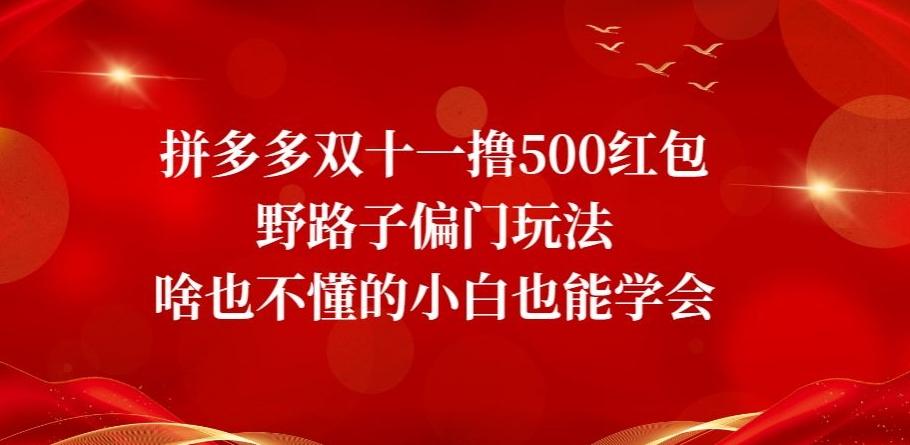 拼多多双十一撸500红包野路子偏门玩法，啥也不懂的小白也能学会【揭秘】-网赚项目平台