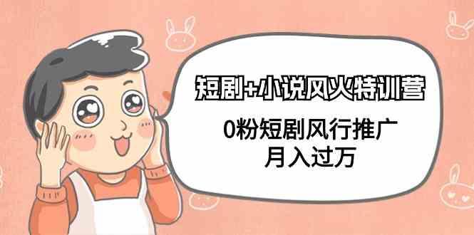 小说+短剧风火特训营，0粉短剧小说风行推广，实现月入过万-网赚项目平台